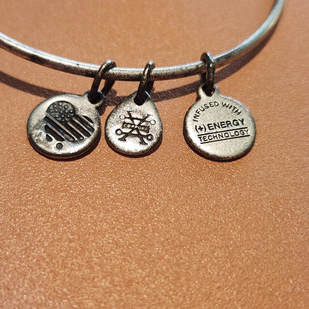 Alex & Ani Walt Disney World Cinderella Castle Bangle Bracelet Silver - Picture 4 of 7